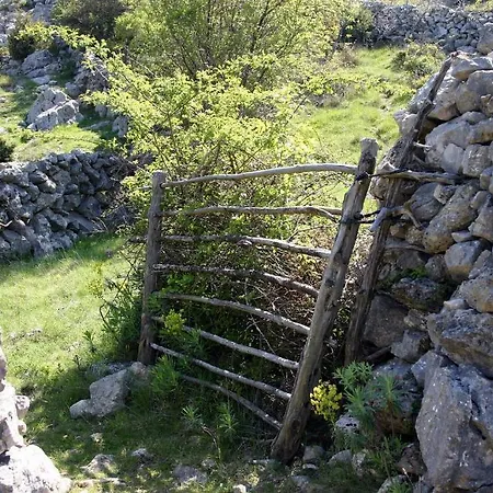 Lavanda بيت ضيافة كريس